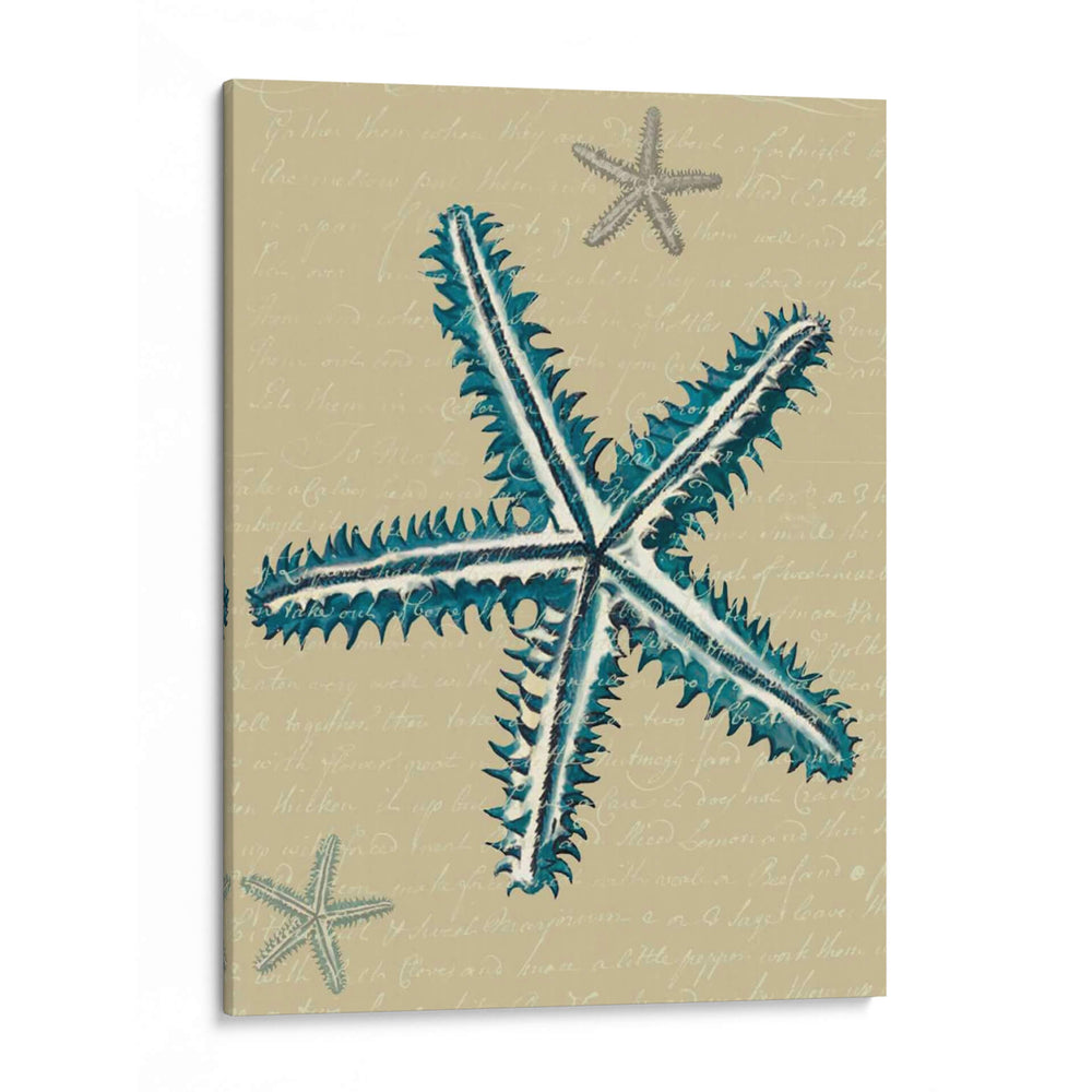 Estrella De Mar Azul En Taupe A - Fab Funky | Cuadro decorativo de Canvas Lab