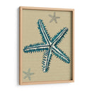 Estrella De Mar Azul En Taupe A - Fab Funky | Cuadro decorativo de Canvas Lab