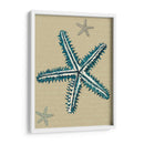 Estrella De Mar Azul En Taupe A - Fab Funky | Cuadro decorativo de Canvas Lab