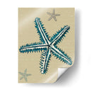 Estrella De Mar Azul En Taupe A - Fab Funky | Cuadro decorativo de Canvas Lab