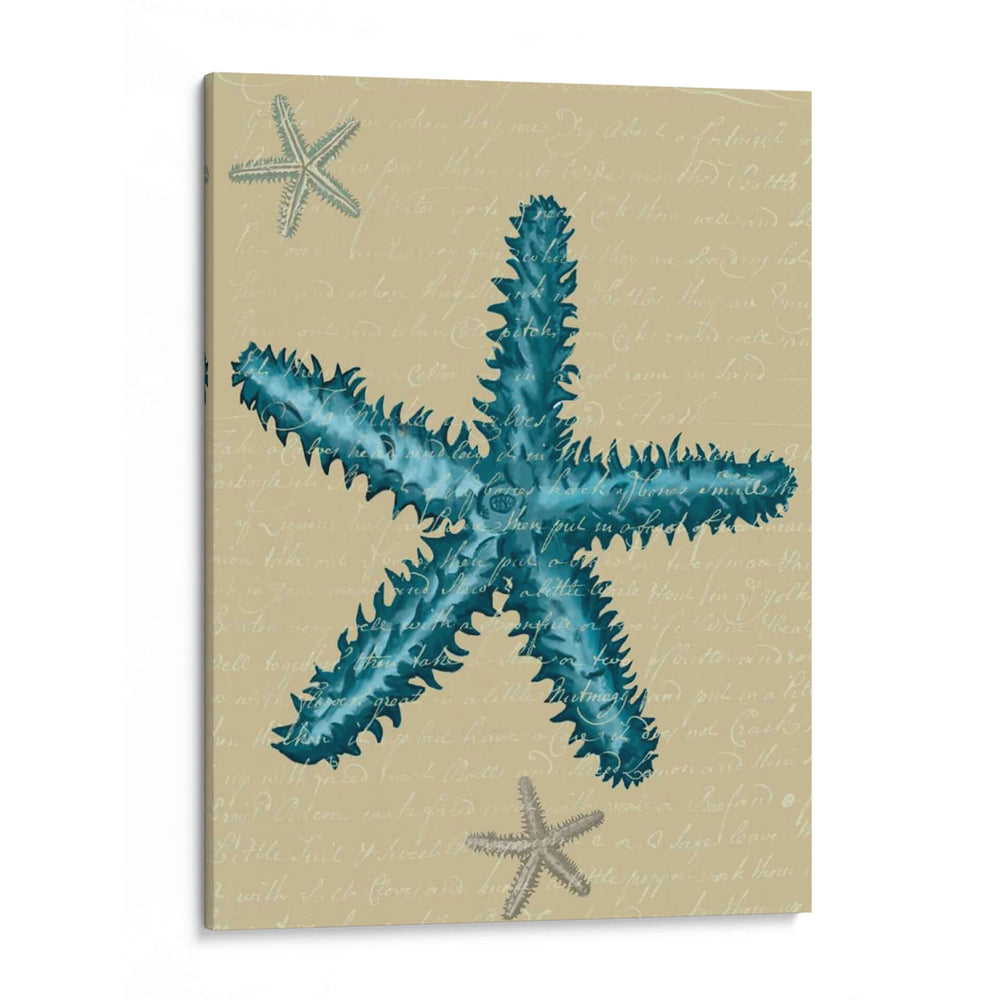 Estrella De Mar Azul En Taupe B - Fab Funky | Cuadro decorativo de Canvas Lab