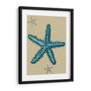 Estrella De Mar Azul En Taupe B - Fab Funky | Cuadro decorativo de Canvas Lab