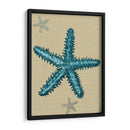 Estrella De Mar Azul En Taupe B - Fab Funky | Cuadro decorativo de Canvas Lab