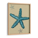 Estrella De Mar Azul En Taupe B - Fab Funky | Cuadro decorativo de Canvas Lab