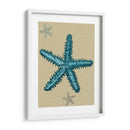 Estrella De Mar Azul En Taupe B - Fab Funky | Cuadro decorativo de Canvas Lab