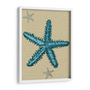 Estrella De Mar Azul En Taupe B - Fab Funky | Cuadro decorativo de Canvas Lab