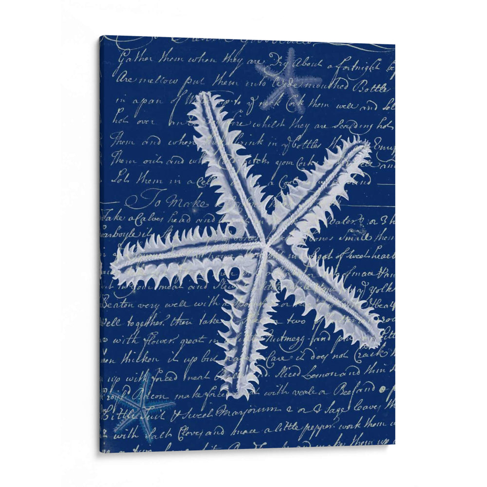 Estrellas De Mar Blancas En Azul A - Fab Funky | Cuadro decorativo de Canvas Lab