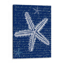 Estrellas De Mar Blancas En Azul A - Fab Funky | Cuadro decorativo de Canvas Lab