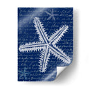 Estrellas De Mar Blancas En Azul A - Fab Funky | Cuadro decorativo de Canvas Lab