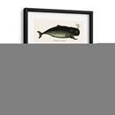 Trío De Ballenas Vintage - Fab Funky | Cuadro decorativo de Canvas Lab