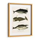 Trío De Ballenas Vintage - Fab Funky | Cuadro decorativo de Canvas Lab