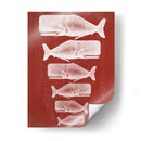 Familia Ballena Blanco En Red - Fab Funky | Cuadro decorativo de Canvas Lab