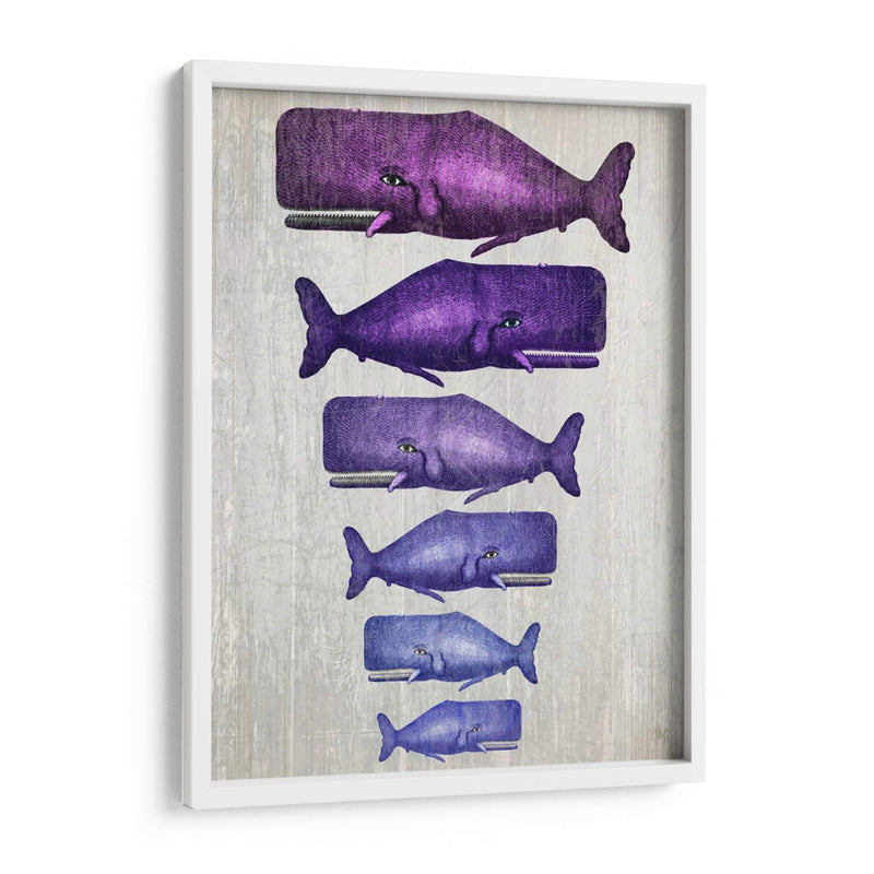 Familia De Ballena Púrpura En Blanco - Fab Funky | Cuadro decorativo de Canvas Lab