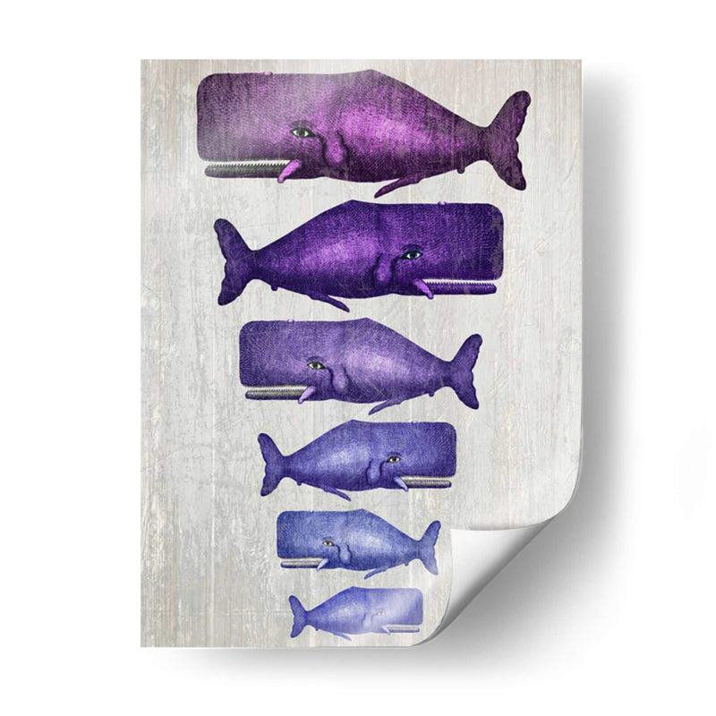 Familia De Ballena Púrpura En Blanco - Fab Funky | Cuadro decorativo de Canvas Lab