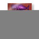 Familia De Ballena Púrpura En Rojo - Fab Funky | Cuadro decorativo de Canvas Lab