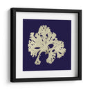 Algas Marinas En La Marina Iv - Vision Studio | Cuadro decorativo de Canvas Lab