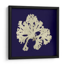 Algas Marinas En La Marina Iv - Vision Studio | Cuadro decorativo de Canvas Lab