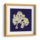 Algas Marinas En La Marina Iv - Vision Studio | Cuadro decorativo de Canvas Lab