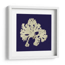 Algas Marinas En La Marina Iv - Vision Studio | Cuadro decorativo de Canvas Lab