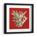 Pequeño Coral En Rojo I - Vision Studio | Cuadro decorativo de Canvas Lab