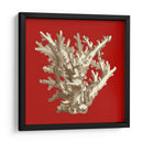 Pequeño Coral En Rojo I - Vision Studio | Cuadro decorativo de Canvas Lab