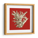 Pequeño Coral En Rojo I - Vision Studio | Cuadro decorativo de Canvas Lab