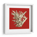 Pequeño Coral En Rojo I - Vision Studio | Cuadro decorativo de Canvas Lab