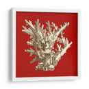 Pequeño Coral En Rojo I - Vision Studio | Cuadro decorativo de Canvas Lab