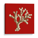 Coral Pequeño En Rojo Ii - Vision Studio | Cuadro decorativo de Canvas Lab