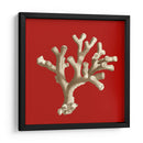 Coral Pequeño En Rojo Ii - Vision Studio | Cuadro decorativo de Canvas Lab