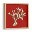 Coral Pequeño En Rojo Ii - Vision Studio | Cuadro decorativo de Canvas Lab