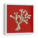 Coral Pequeño En Rojo Ii - Vision Studio | Cuadro decorativo de Canvas Lab