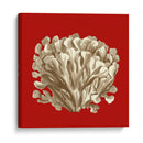 Coral Pequeño En Rojo Iii - Vision Studio | Cuadro decorativo de Canvas Lab