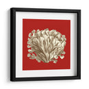Coral Pequeño En Rojo Iii - Vision Studio | Cuadro decorativo de Canvas Lab