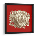 Coral Pequeño En Rojo Iii - Vision Studio | Cuadro decorativo de Canvas Lab