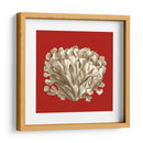 Coral Pequeño En Rojo Iii - Vision Studio | Cuadro decorativo de Canvas Lab