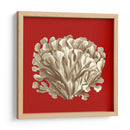 Coral Pequeño En Rojo Iii - Vision Studio | Cuadro decorativo de Canvas Lab