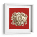 Coral Pequeño En Rojo Iii - Vision Studio | Cuadro decorativo de Canvas Lab