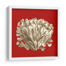 Coral Pequeño En Rojo Iii - Vision Studio | Cuadro decorativo de Canvas Lab