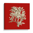 Coral Pequeño En Rojo Iv - Vision Studio | Cuadro decorativo de Canvas Lab