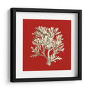 Coral Pequeño En Rojo Iv - Vision Studio | Cuadro decorativo de Canvas Lab