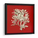 Coral Pequeño En Rojo Iv - Vision Studio | Cuadro decorativo de Canvas Lab
