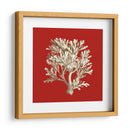 Coral Pequeño En Rojo Iv - Vision Studio | Cuadro decorativo de Canvas Lab