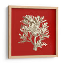 Coral Pequeño En Rojo Iv - Vision Studio | Cuadro decorativo de Canvas Lab