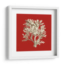 Coral Pequeño En Rojo Iv - Vision Studio | Cuadro decorativo de Canvas Lab