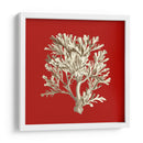 Coral Pequeño En Rojo Iv - Vision Studio | Cuadro decorativo de Canvas Lab