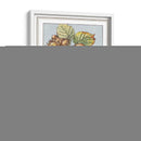 La Hada De La Avellana - Vision Studio | Cuadro decorativo de Canvas Lab