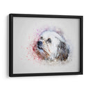 Cachorrito con pintura | Cuadro decorativo de Canvas Lab