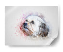 Cachorrito con pintura | Cuadro decorativo de Canvas Lab