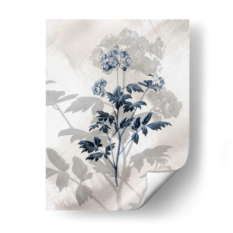 Indigo Bloom Ii - John Butler | Cuadro decorativo de Canvas Lab